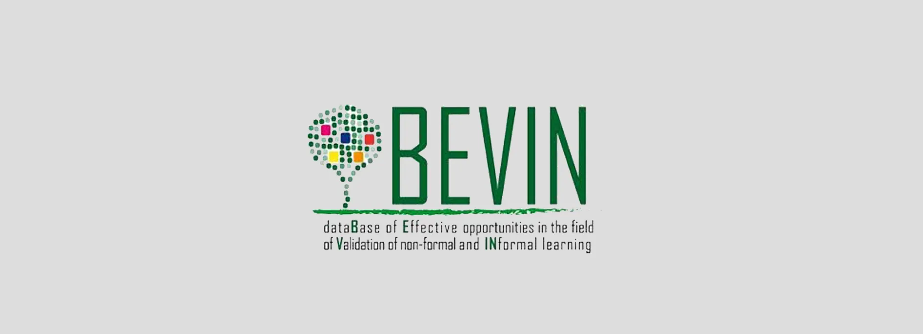 BEVIN – dataBase of Effective opportunities in the field of Validation ...